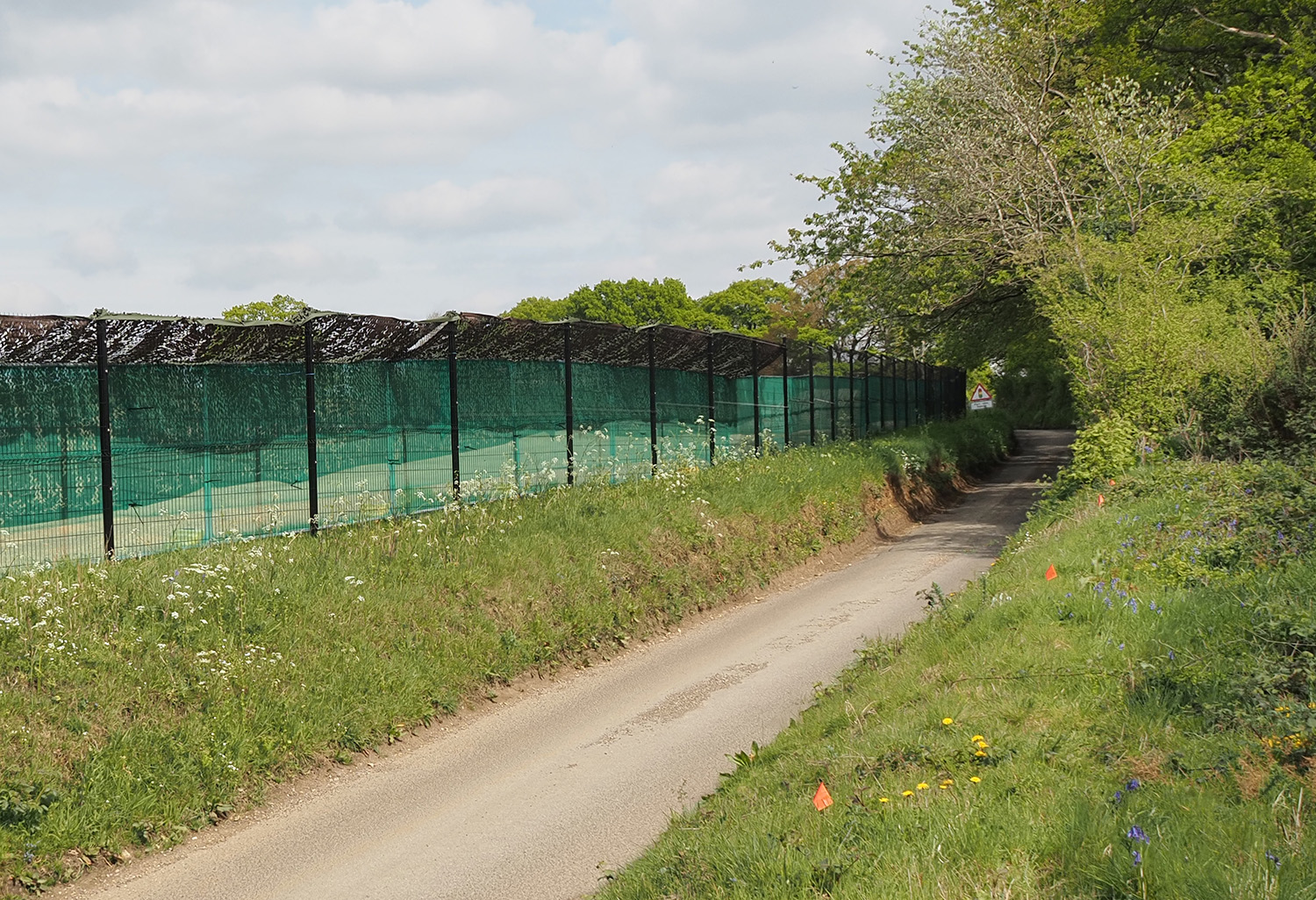 Bat Flightline – Leather Lane Conservation Group